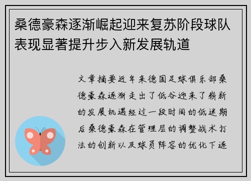 桑德豪森逐渐崛起迎来复苏阶段球队表现显著提升步入新发展轨道